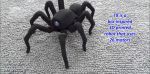 На 3D-принтере распечатали робота-паука